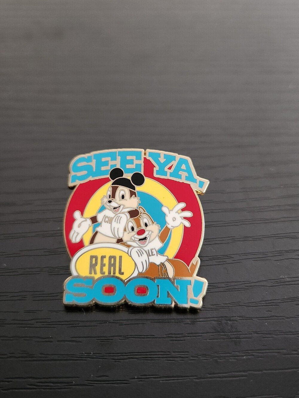 Adventured By Disney SEE YA REAL SOON Collectors Pin Chip and Dale NWOT
